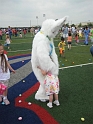 Kids_POPEasterEggHunt (13)